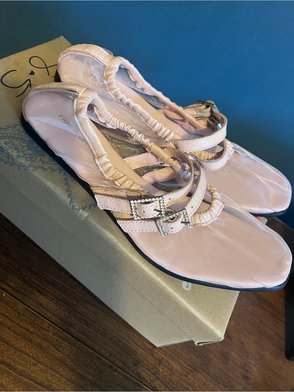 Women’s Free People Light Pink Mesh Flats NWT